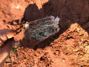 Polim Agri PP® - Florestal
