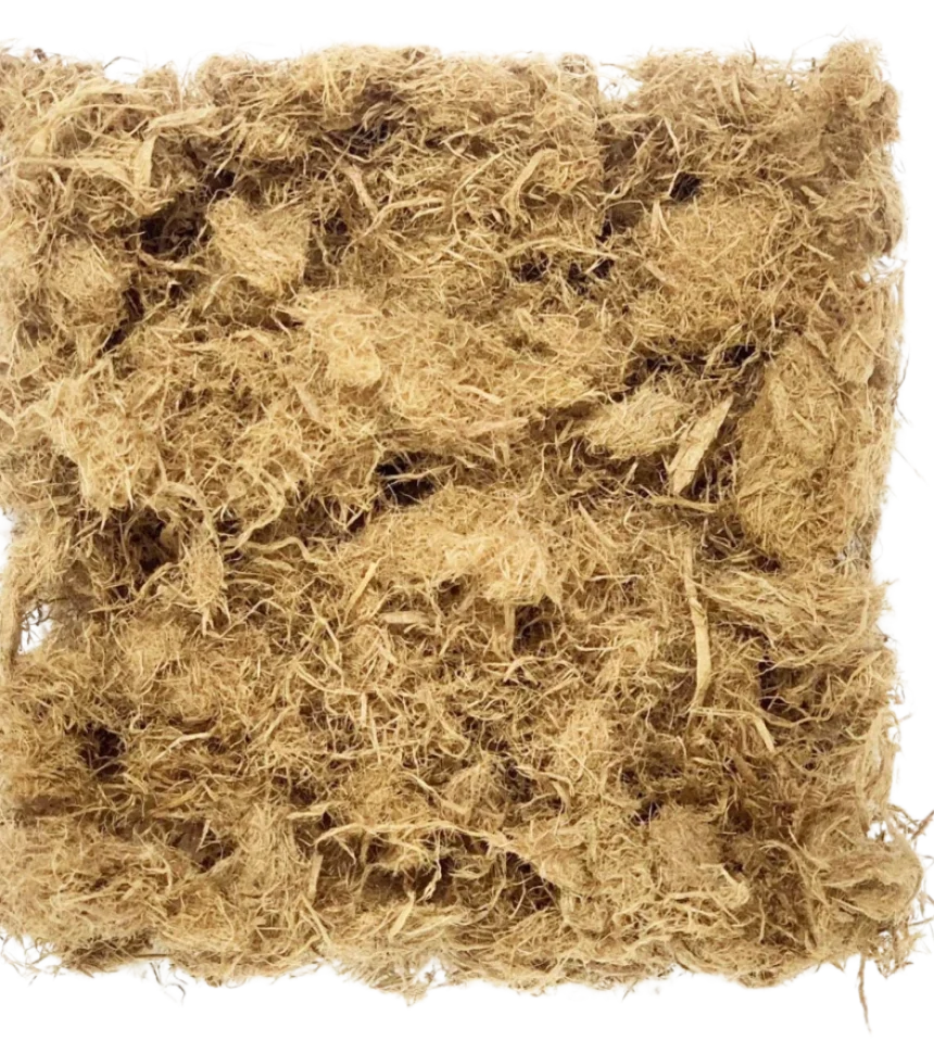 mulch_mulch_madeira_1x