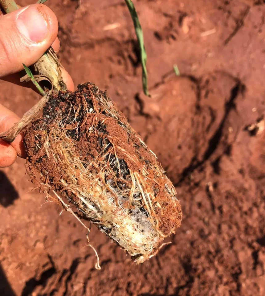 Polim Agri PP® - Florestal