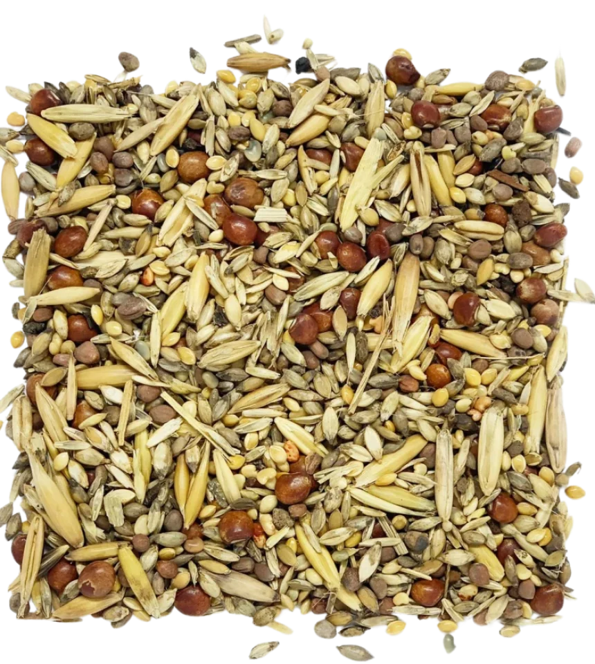 sementes_mix_graminias_e_leguminosas_1x